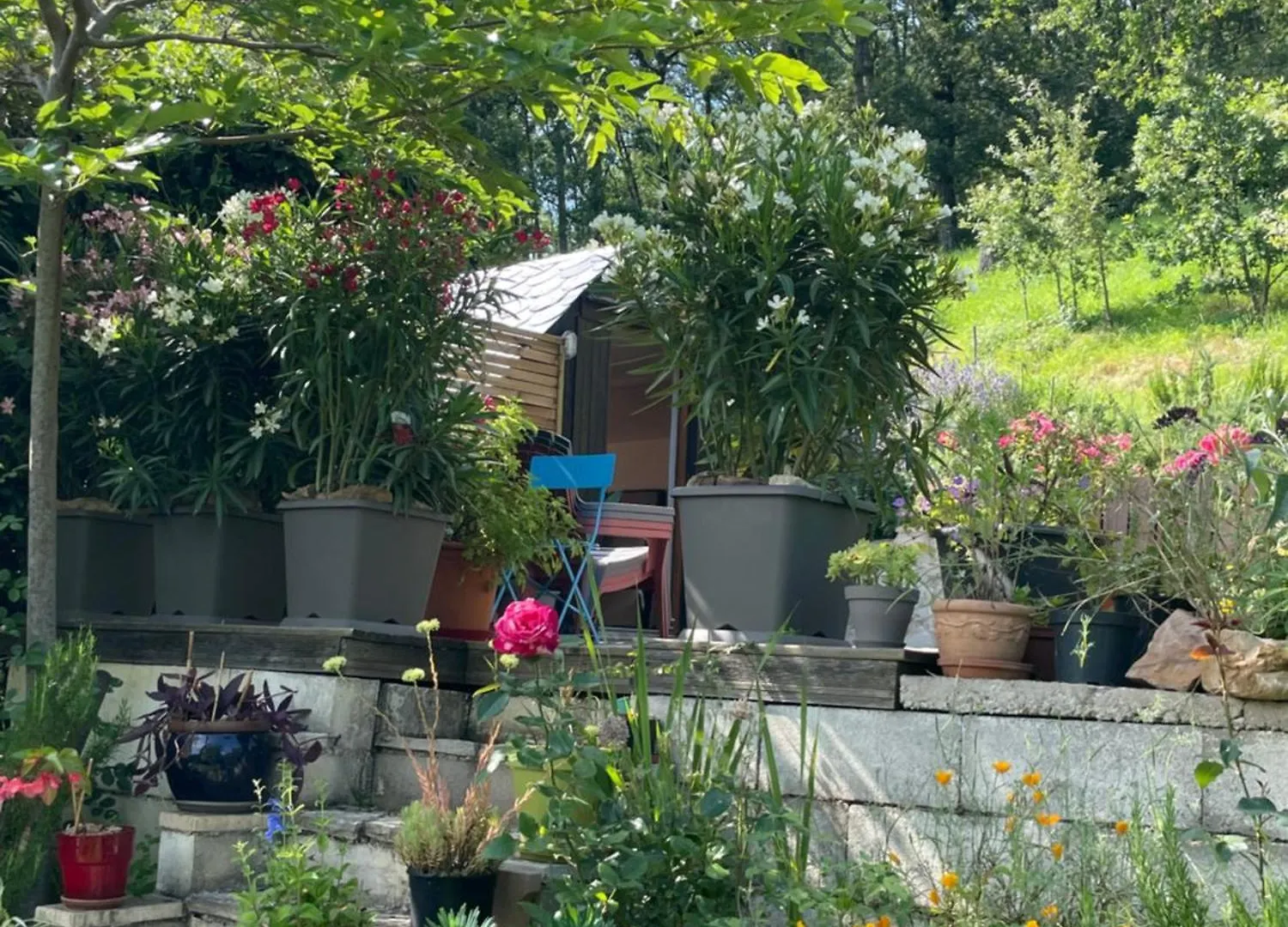 Appartement Le Logis D'Eve à Najac